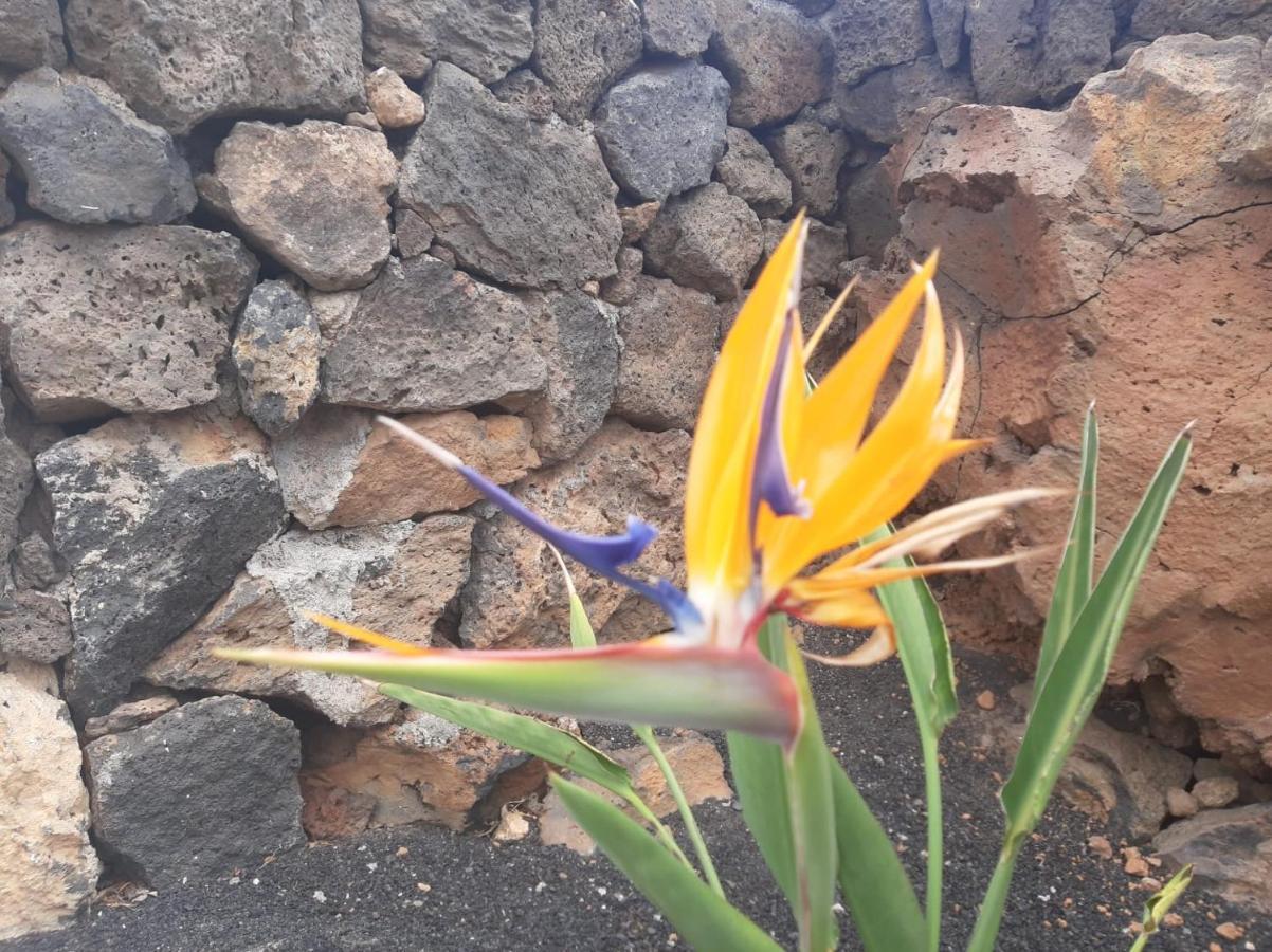 Affittacamere Loft La Tahonilla Tías Esterno foto