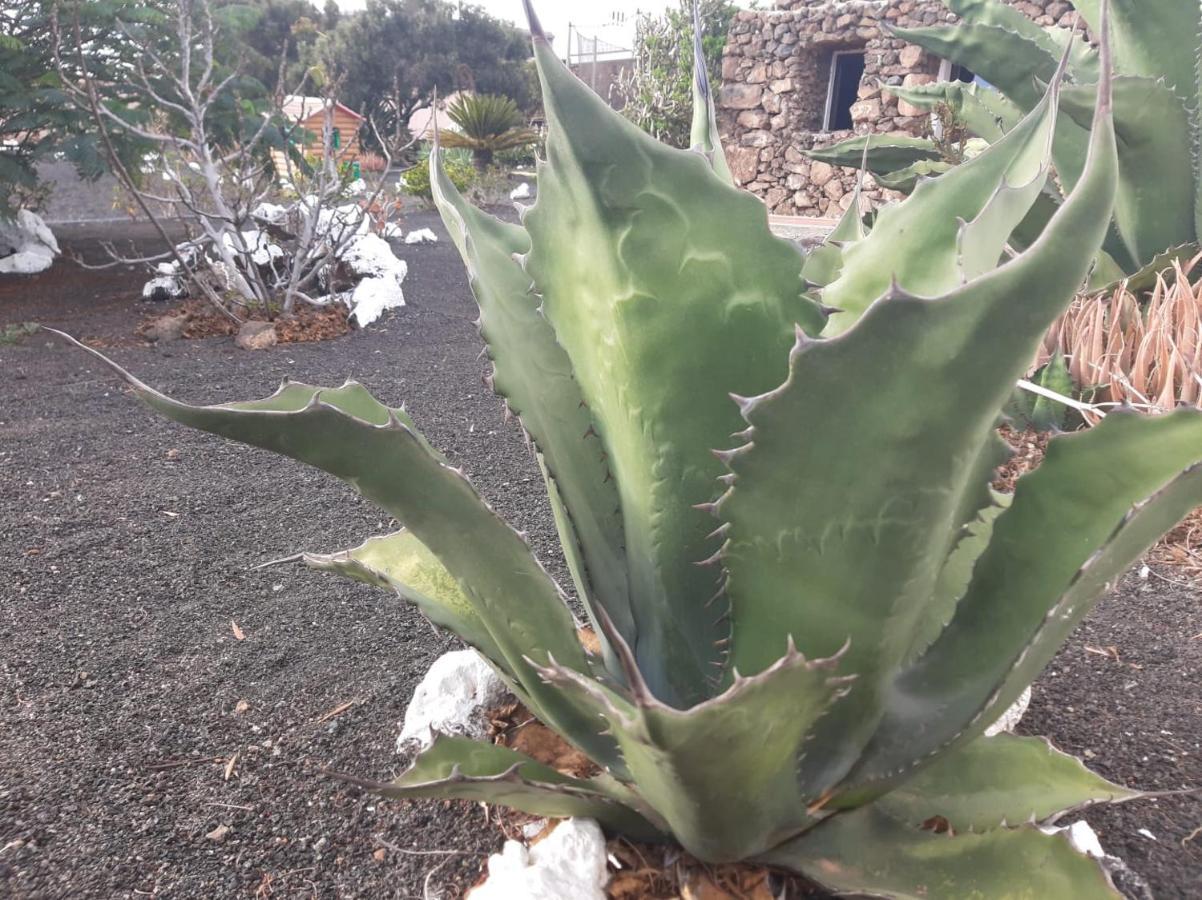 Affittacamere Loft La Tahonilla Tías Esterno foto